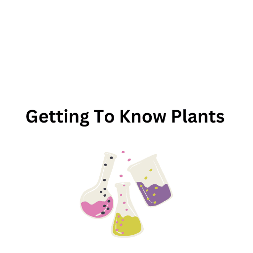 Getting To Know Plants